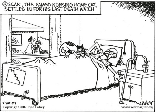 funny cat cartoons. I mean, it#39;s a funny cartoon,