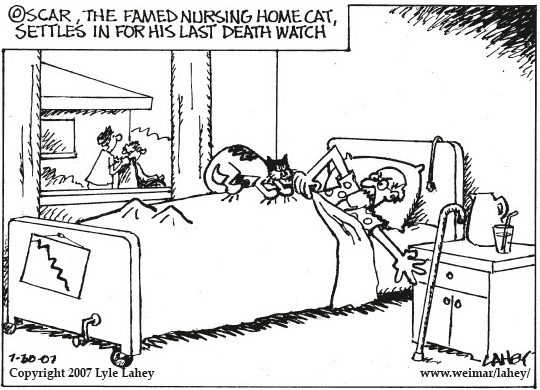 nursing home cartoons funny